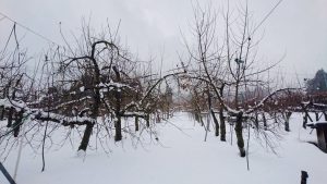 醸造所の外は、こーんな雪景色。